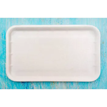 Bagasse Disposable Plate